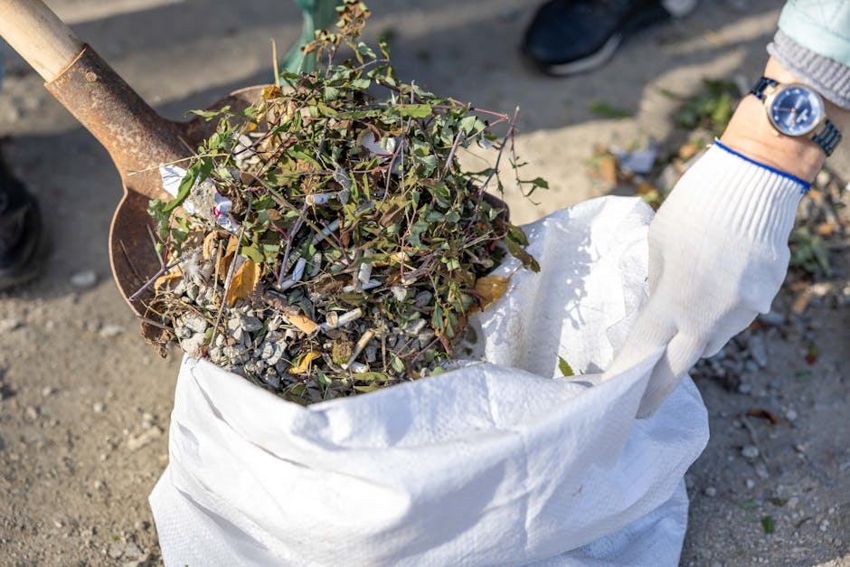A park scene during late afternoon sunlight filtering through the canopy of tall deciduous trees with green and yellow leaves, casting long shadows on the grassy ground covered in fallen leaves. In the foreground, there are several black plastic rubbish bags neatly stacked and positioned on the grass, indicating waste collection or clearance activity. The bags are filled with garden waste or debris, with some slightly bulging and tied at the top. The background features more greenery and distant trees, creating a natural environment suitable for independent rubbish removal or private waste handling, with the scene conveying a peaceful yet tidy setting for garden waste disposal near open park areas. The overall atmosphere is calm and sunlight creates a warm tone, highlighting the textures of the leaves, tree bark, and trash bags, which are typical elements that might be associated with rubbish clearance services in outdoor environments.